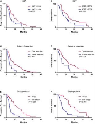 Prognostic and Predictive Factors in Elderly Patients With Glioblastoma: A Single-Center Retrospective Study